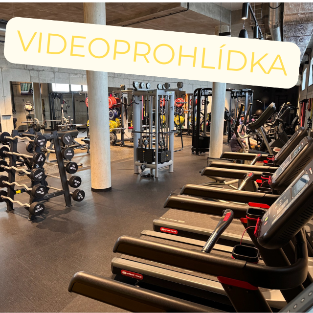 Videoprohlídka